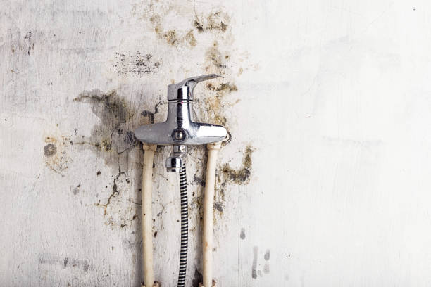 Water Damage Restoration in Roland, IA