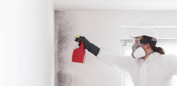 Best Residential Mold Removal  in Roland, IA