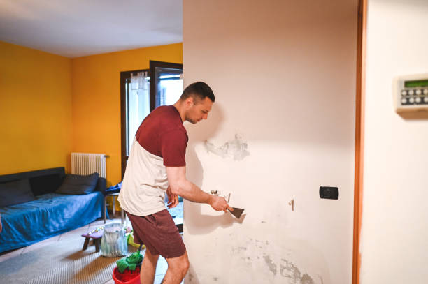 Best Certified Mold Removal  in Roland, IA